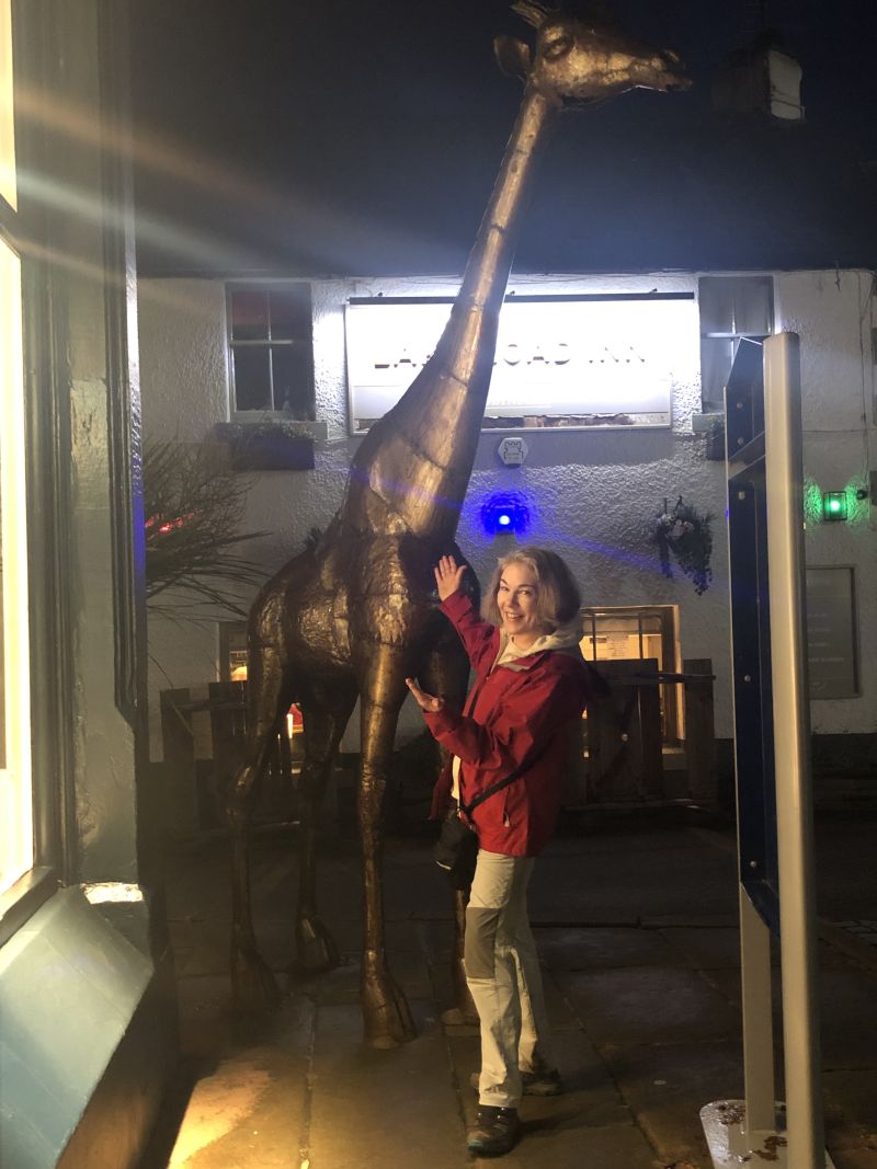 Lady_LongLegs